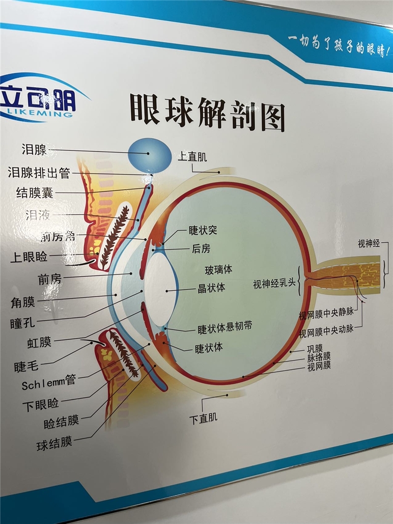 環(huán)境/教學